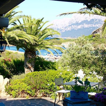 Villa Corallina Costa Corallina Exterior foto
